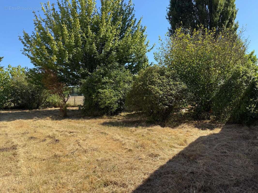 Photo 2 - Terrain à SAINT-SAVIN