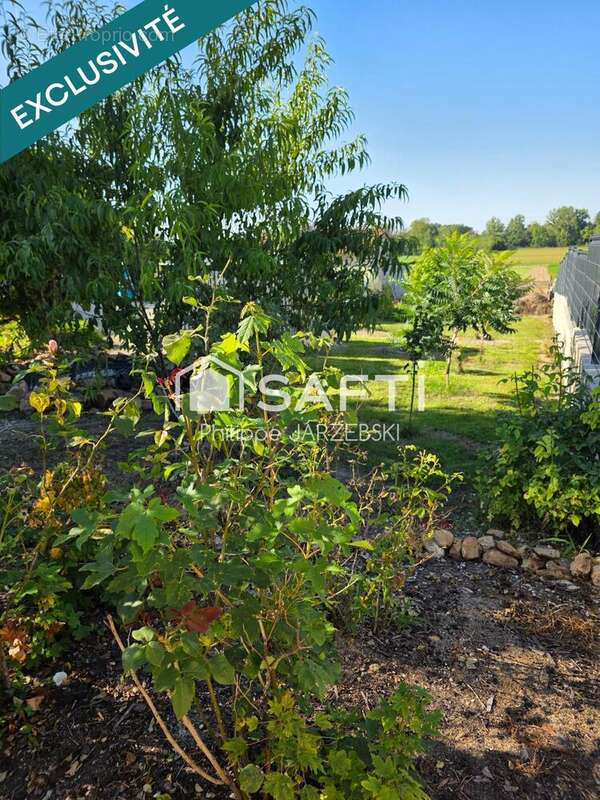 Photo 5 - Maison à VILLETTE-SUR-AUBE