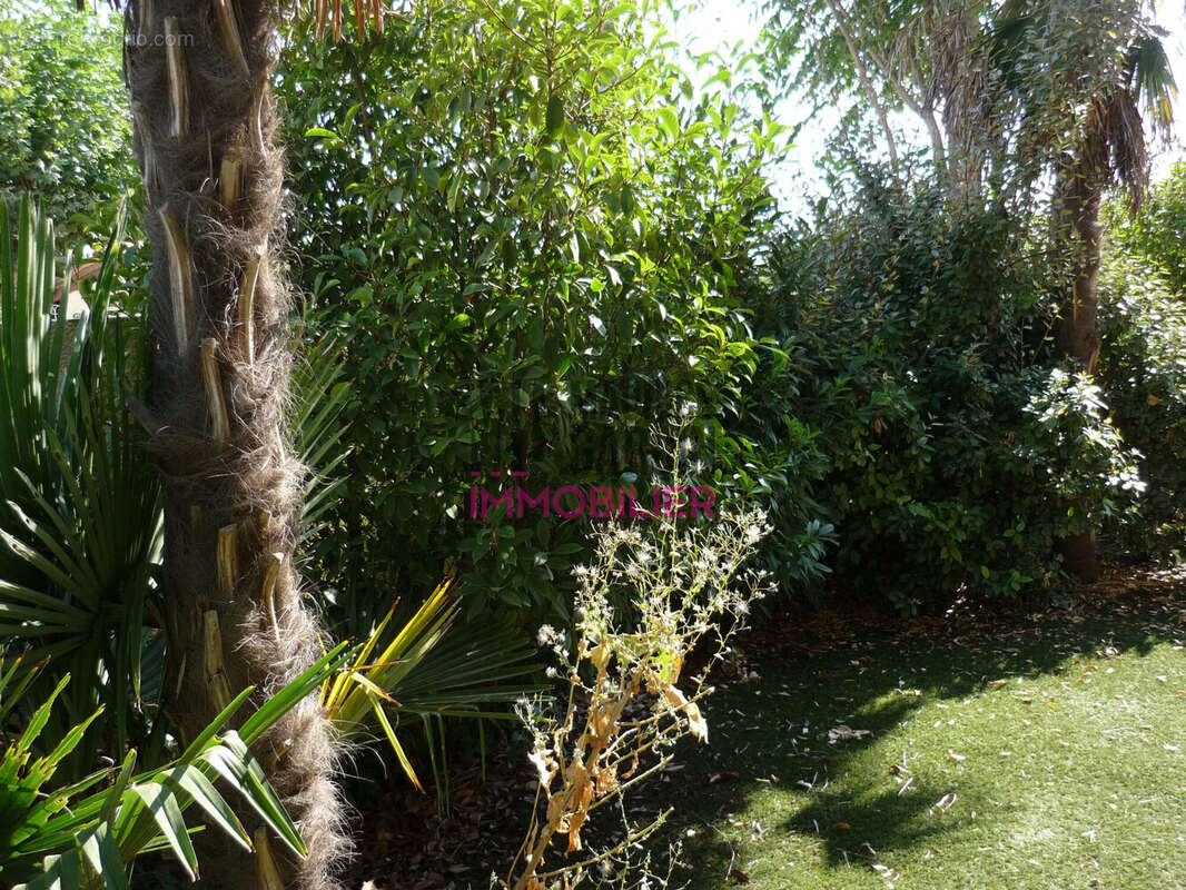 Appartement à L'ISLE-SUR-LA-SORGUE