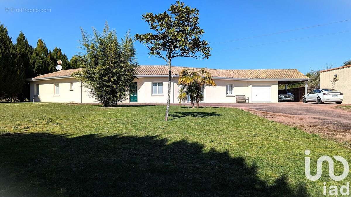 Photo 2 - Maison à MONTENDRE