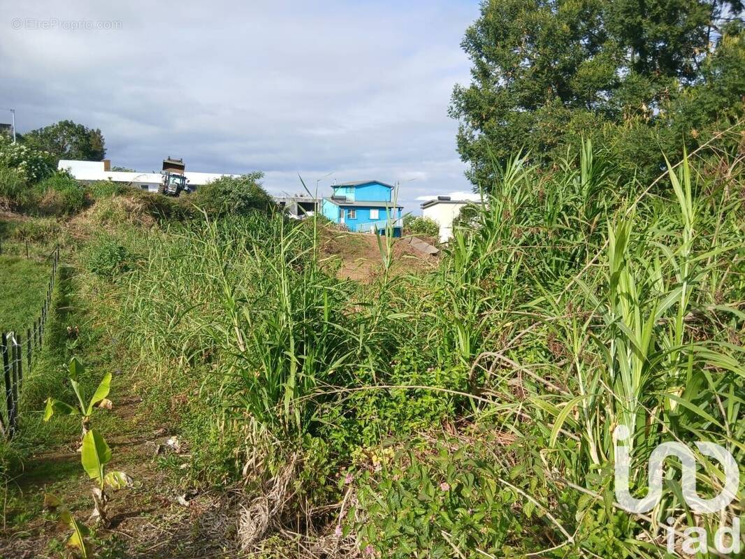 Photo 1 - Terrain à LES TROIS-BASSINS