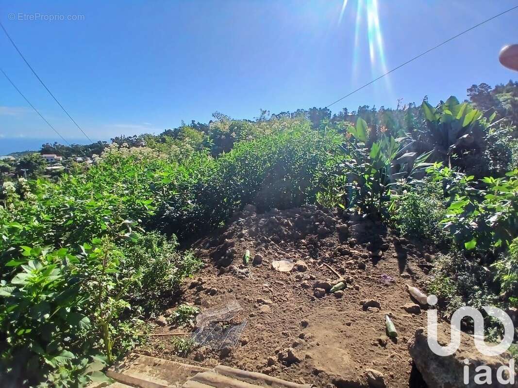 Photo 3 - Terrain à LES TROIS-BASSINS