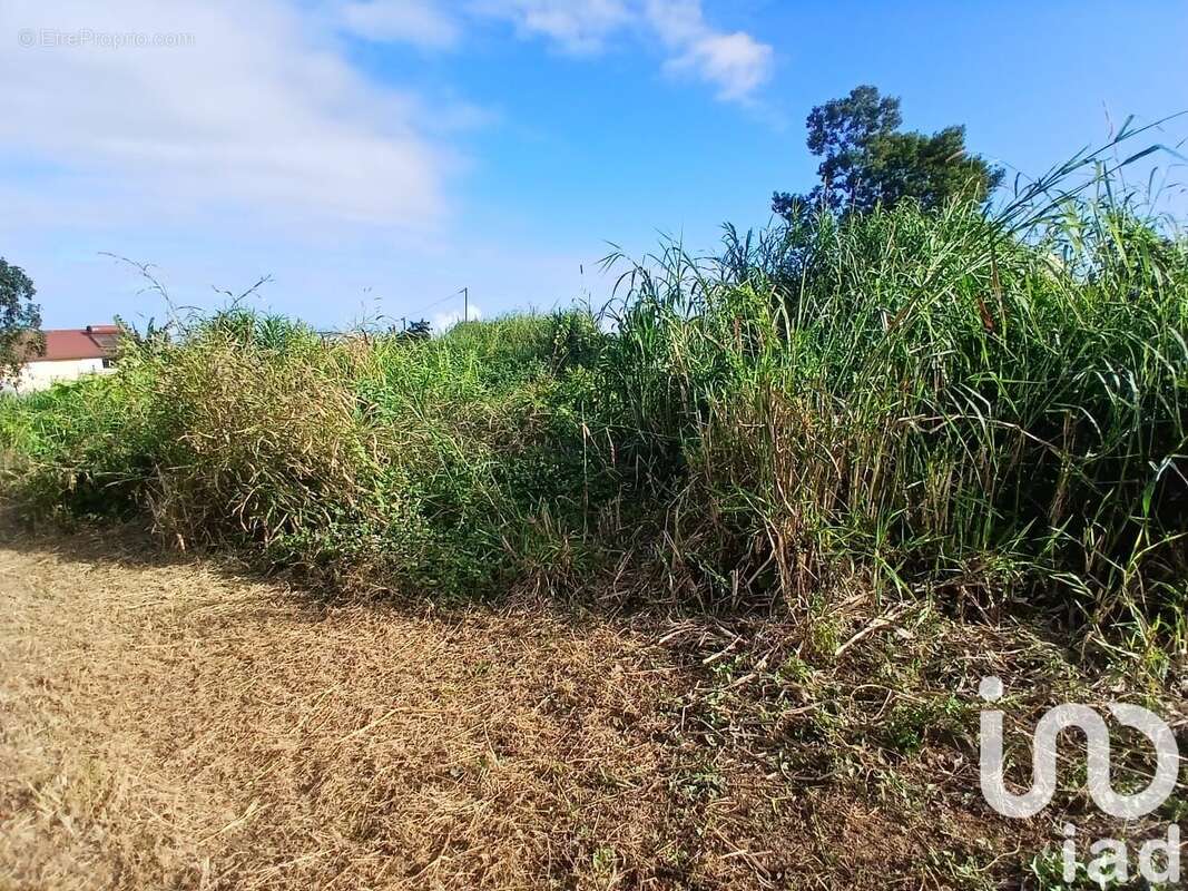 Photo 4 - Terrain à LES TROIS-BASSINS