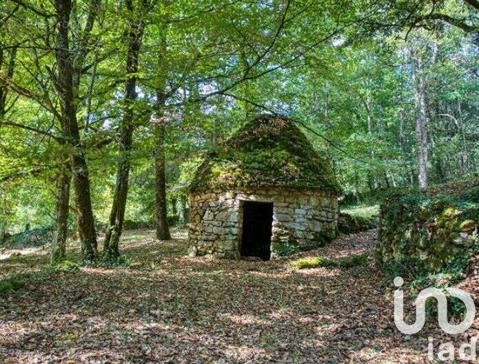 Photo 7 - Maison à LA ROQUE-GAGEAC