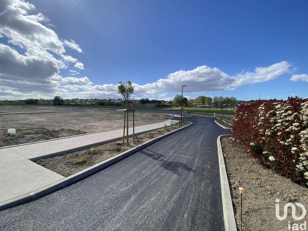 Photo 3 - Terrain à TOURBES