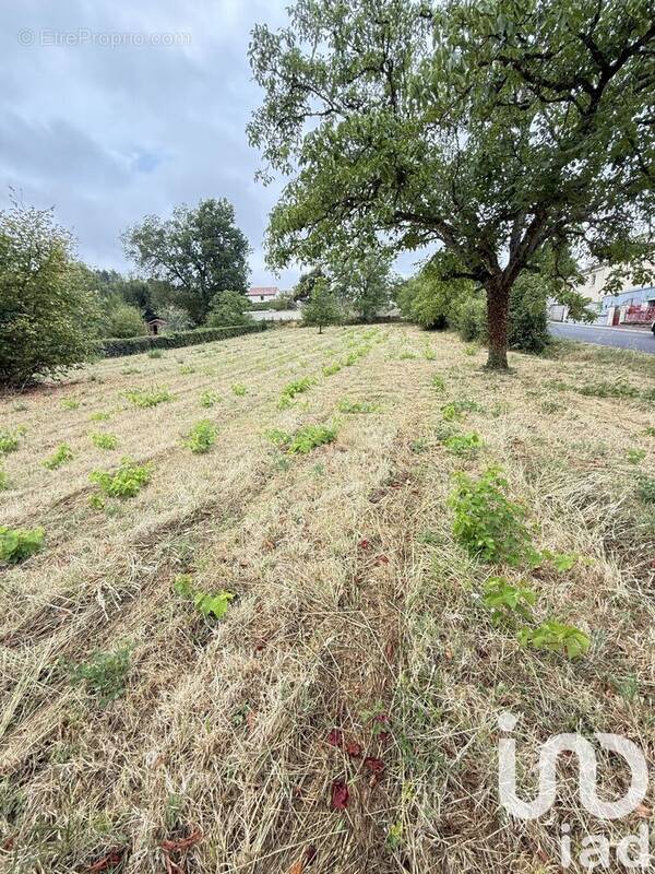 Photo 1 - Terrain à CENON-SUR-VIENNE