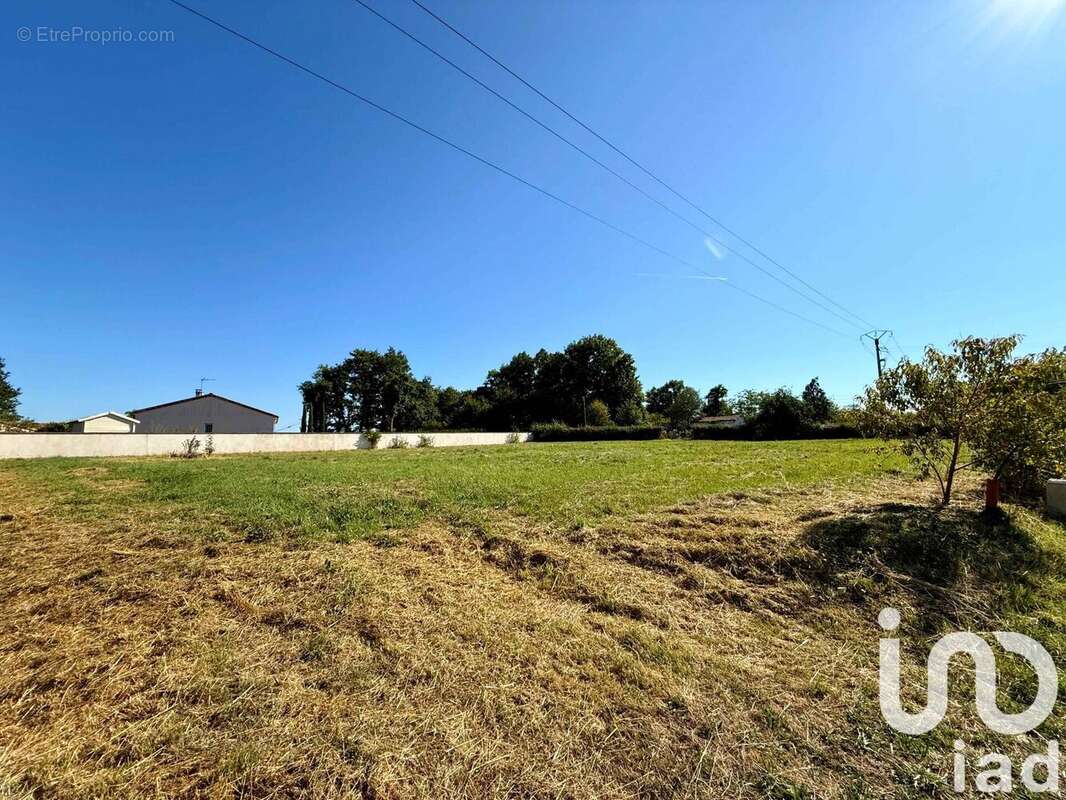 Photo 2 - Terrain à AVAILLES-LIMOUZINE
