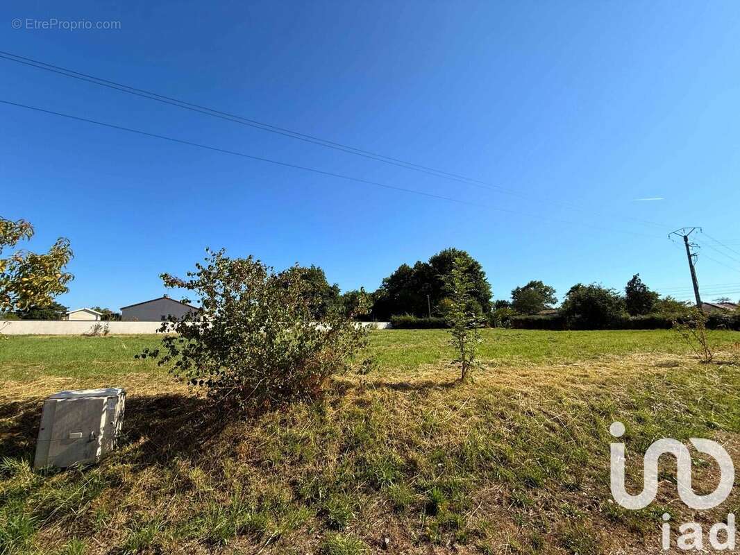 Photo 3 - Terrain à AVAILLES-LIMOUZINE