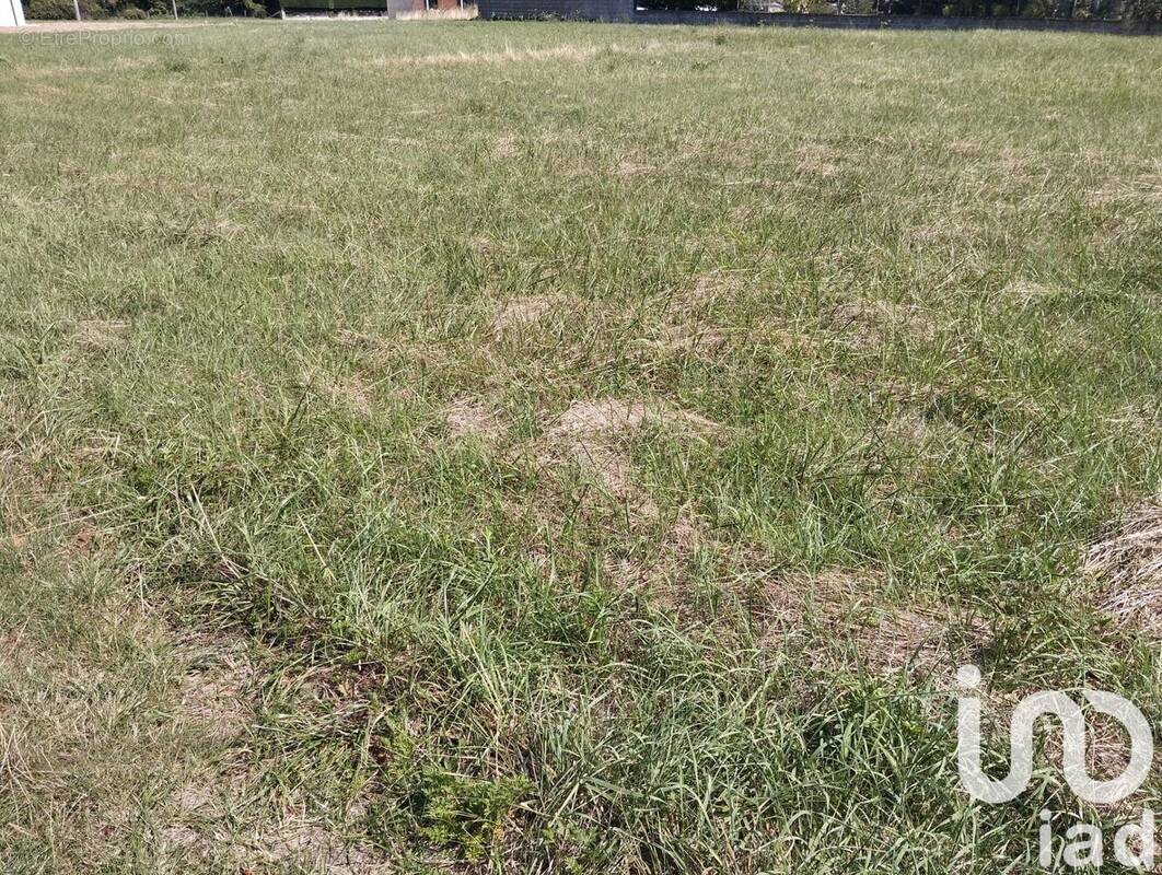 Photo 1 - Terrain à NAVEIL