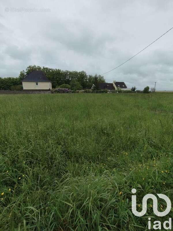 Photo 3 - Terrain à NAVEIL