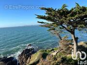 Photo 1 - Appartement à MESQUER