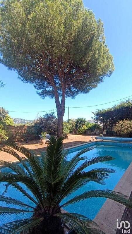 Photo 1 - Appartement à LE CANNET