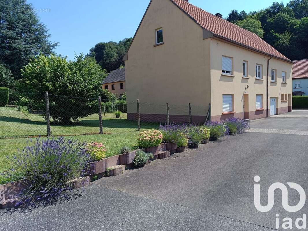 Photo 2 - Maison à HOTTVILLER