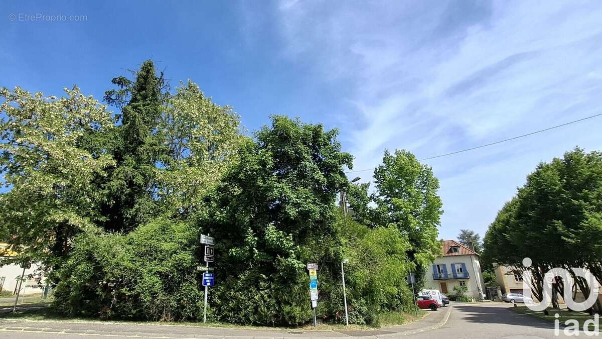 Photo 2 - Terrain à SCY-CHAZELLES