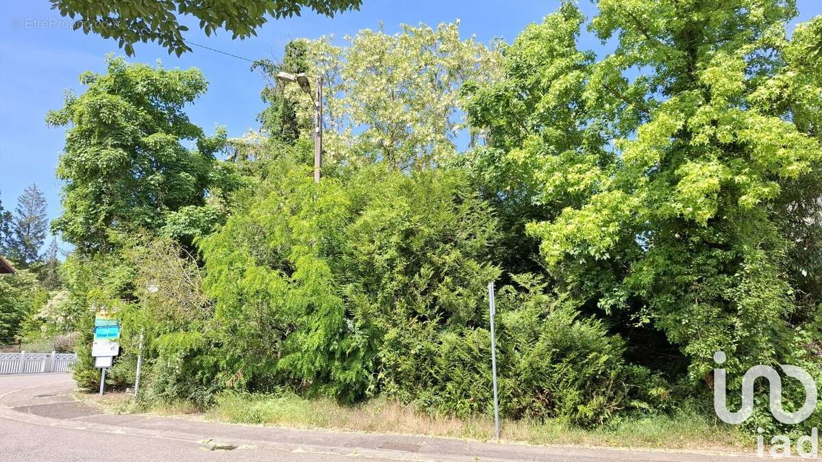 Photo 3 - Terrain à SCY-CHAZELLES