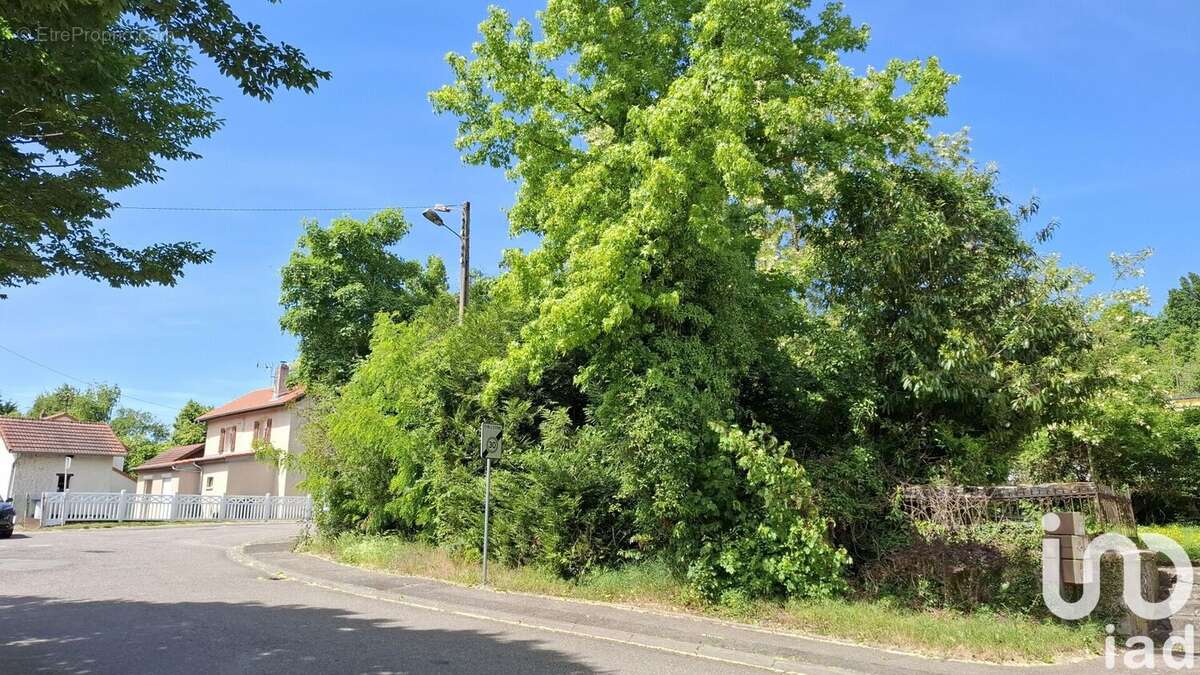 Photo 4 - Terrain à SCY-CHAZELLES