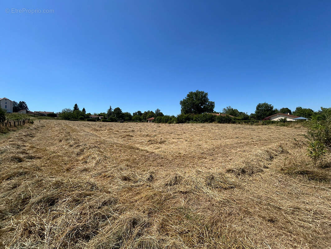 Terrain à CHAVEYRIAT