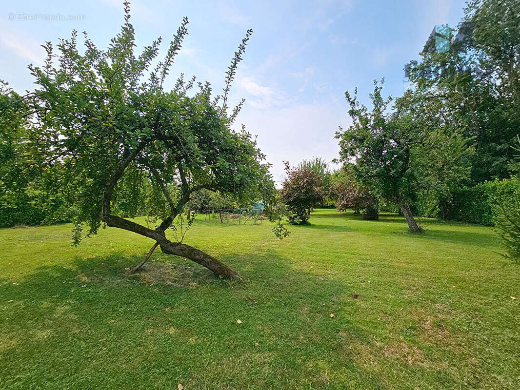 Maison à MONTEREAU-FAULT-YONNE