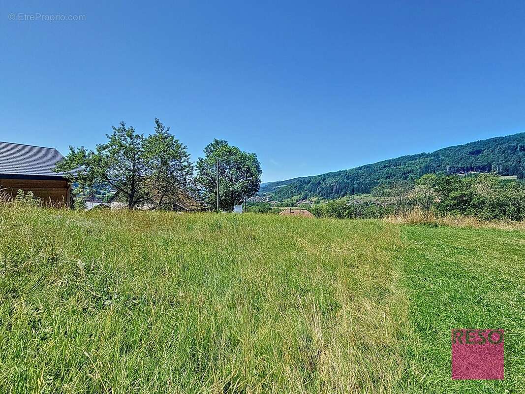 Terrain à HABERE-POCHE