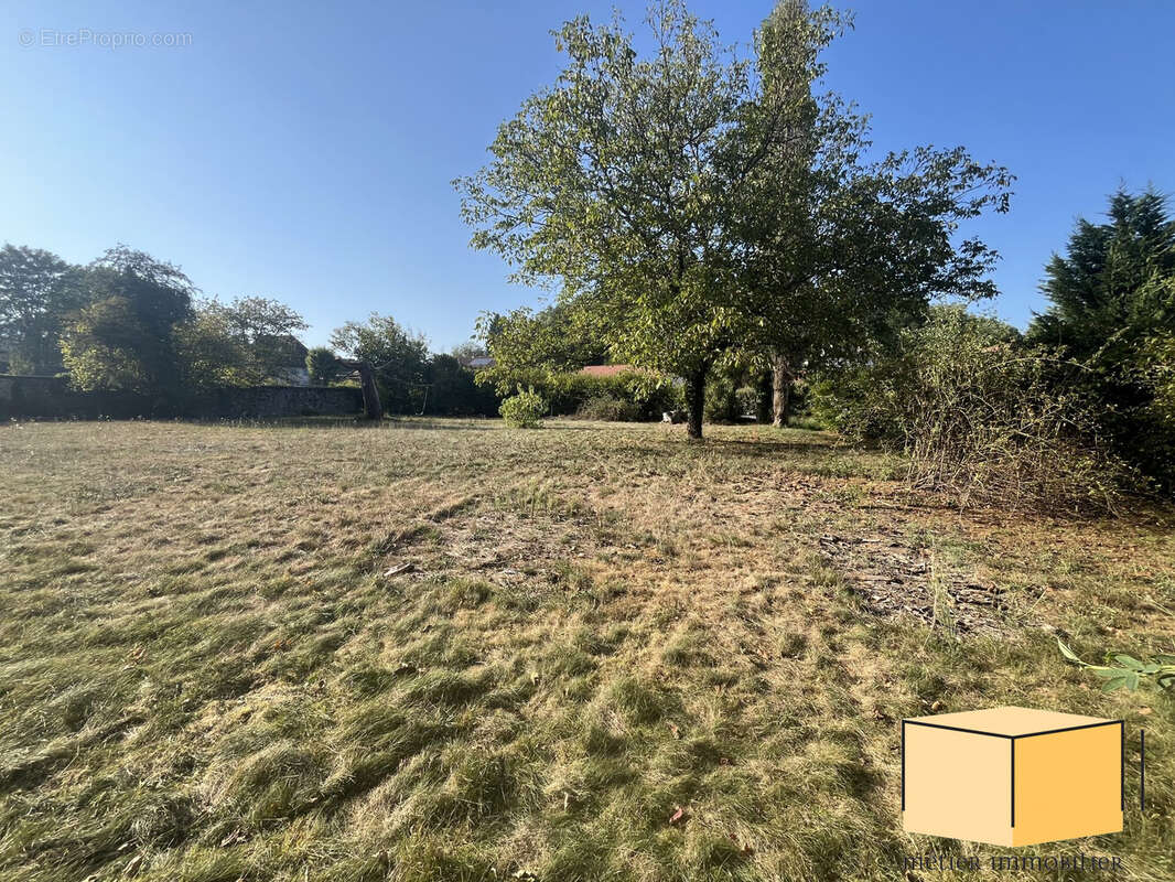 Terrain à CHAZEY-BONS