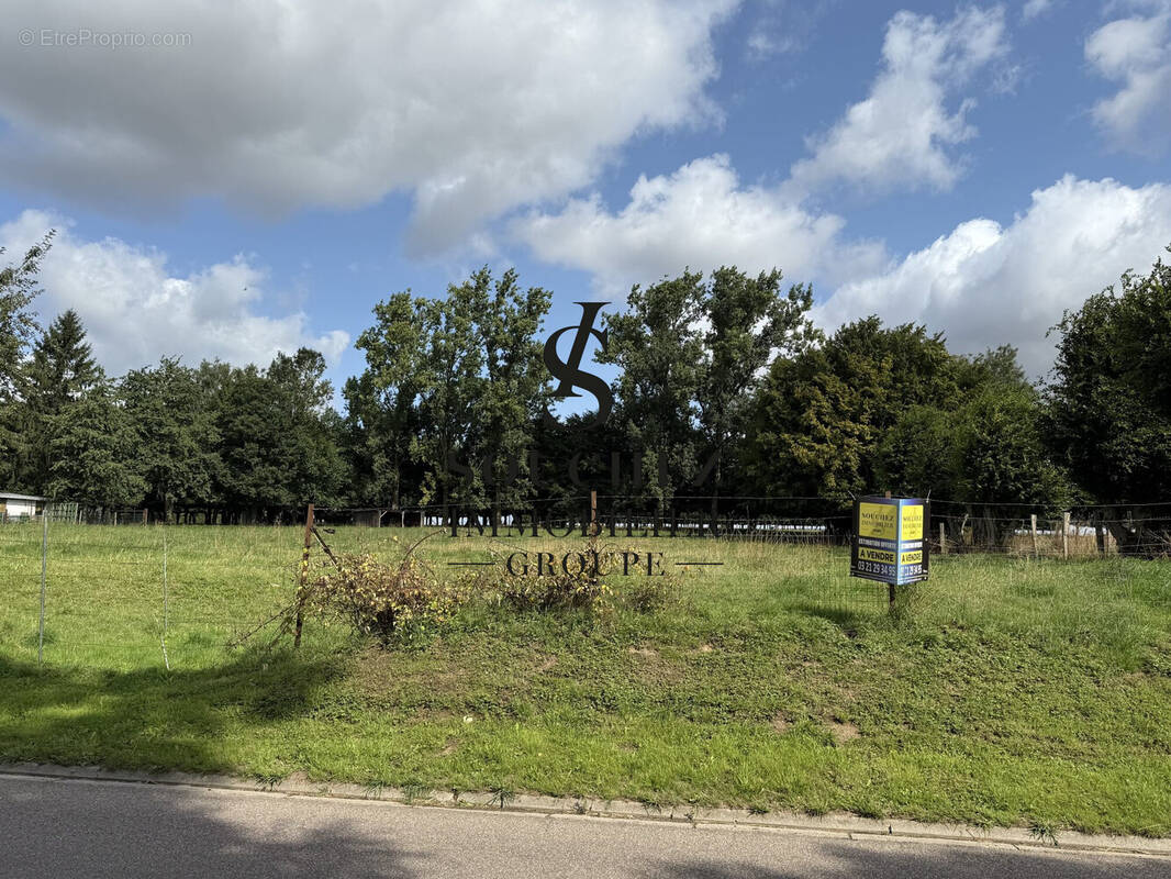 Terrain à SUS-SAINT-LEGER