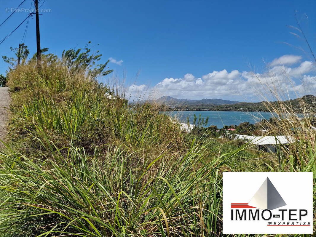 Terrain à LE ROBERT