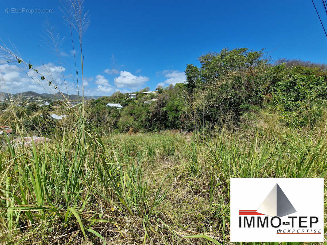Terrain à LE ROBERT
