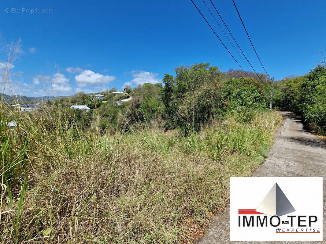 Terrain à LE ROBERT