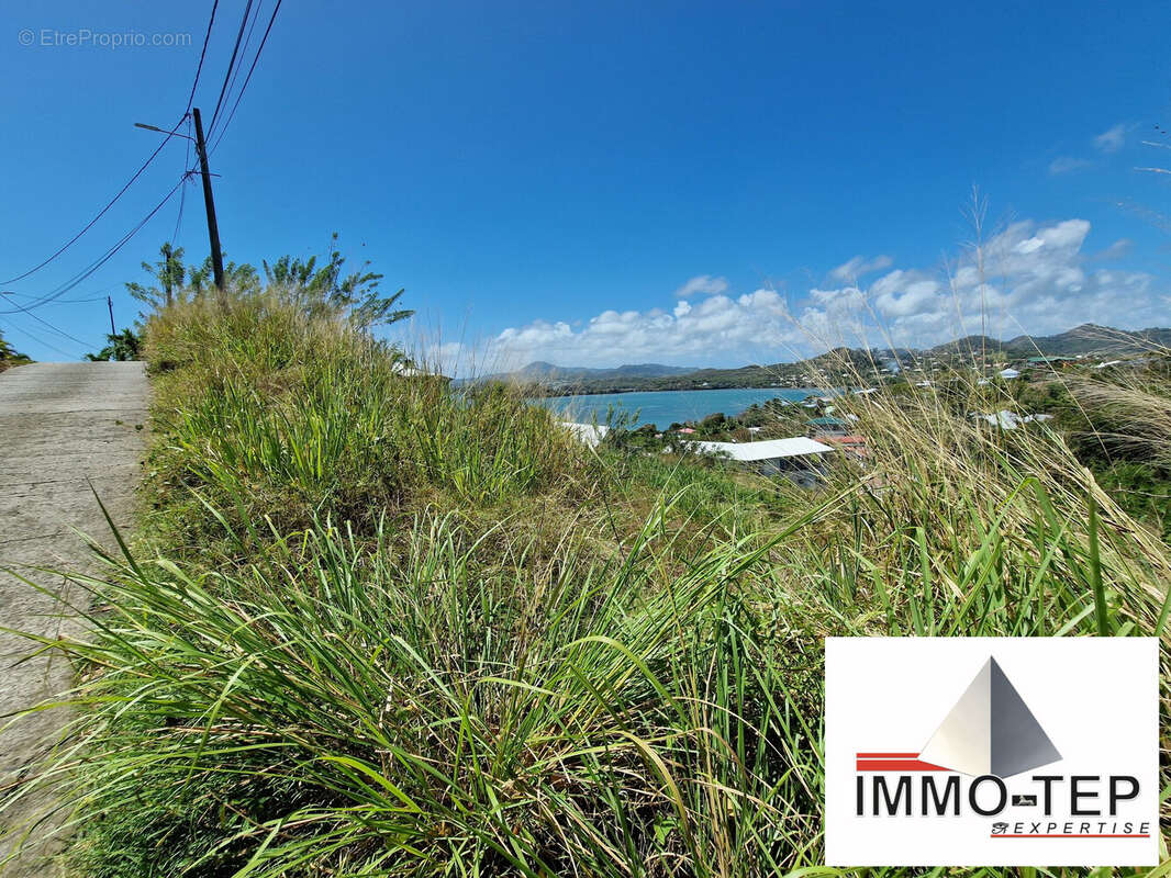 Terrain à LE ROBERT