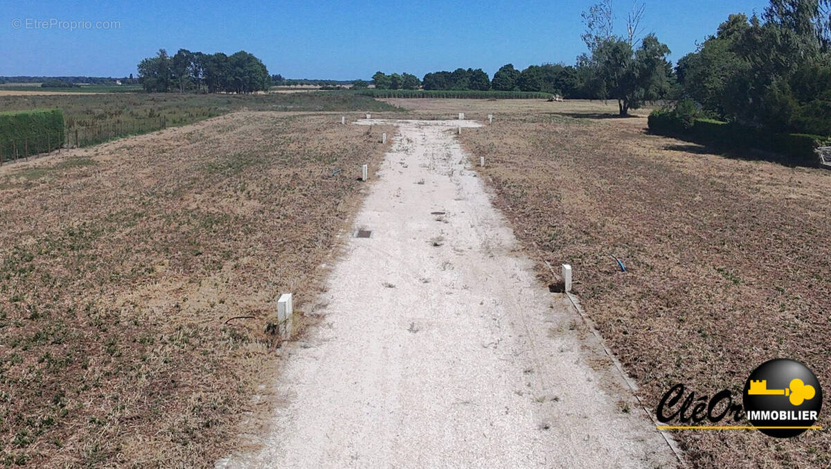 Terrain à SEURRE
