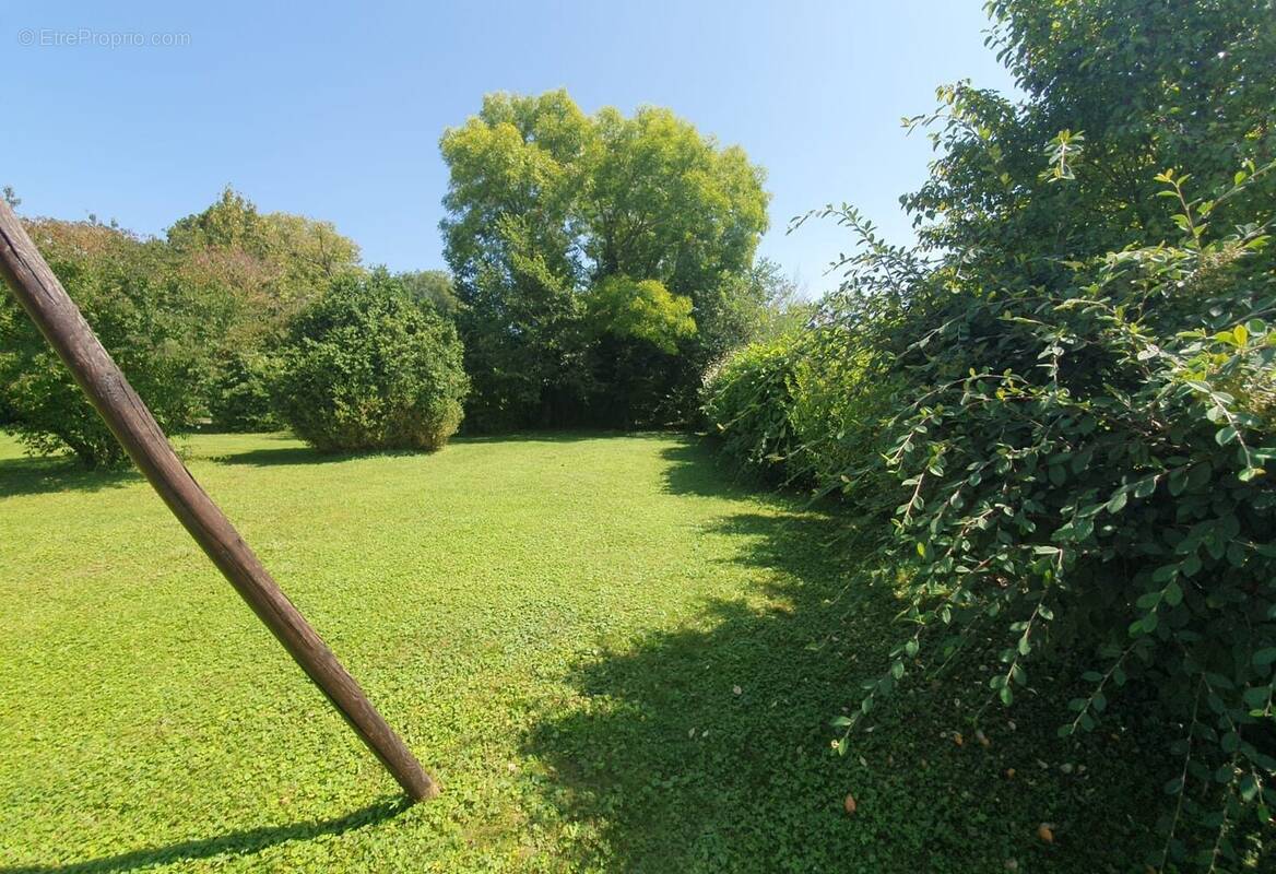 Terrain à AIGUEPERSE