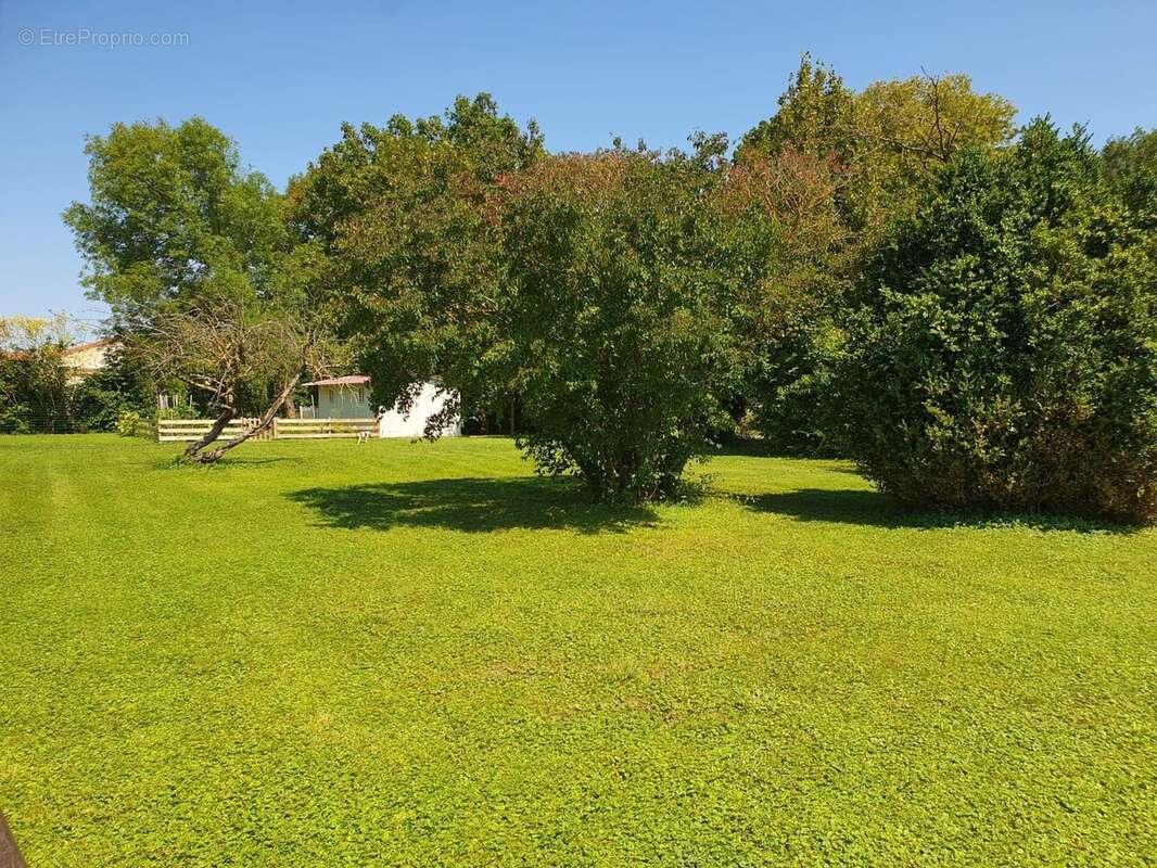 Terrain à AIGUEPERSE