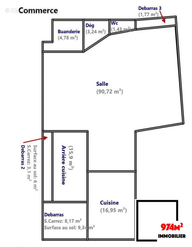 Maison à LA PLAINE-DES-PALMISTES