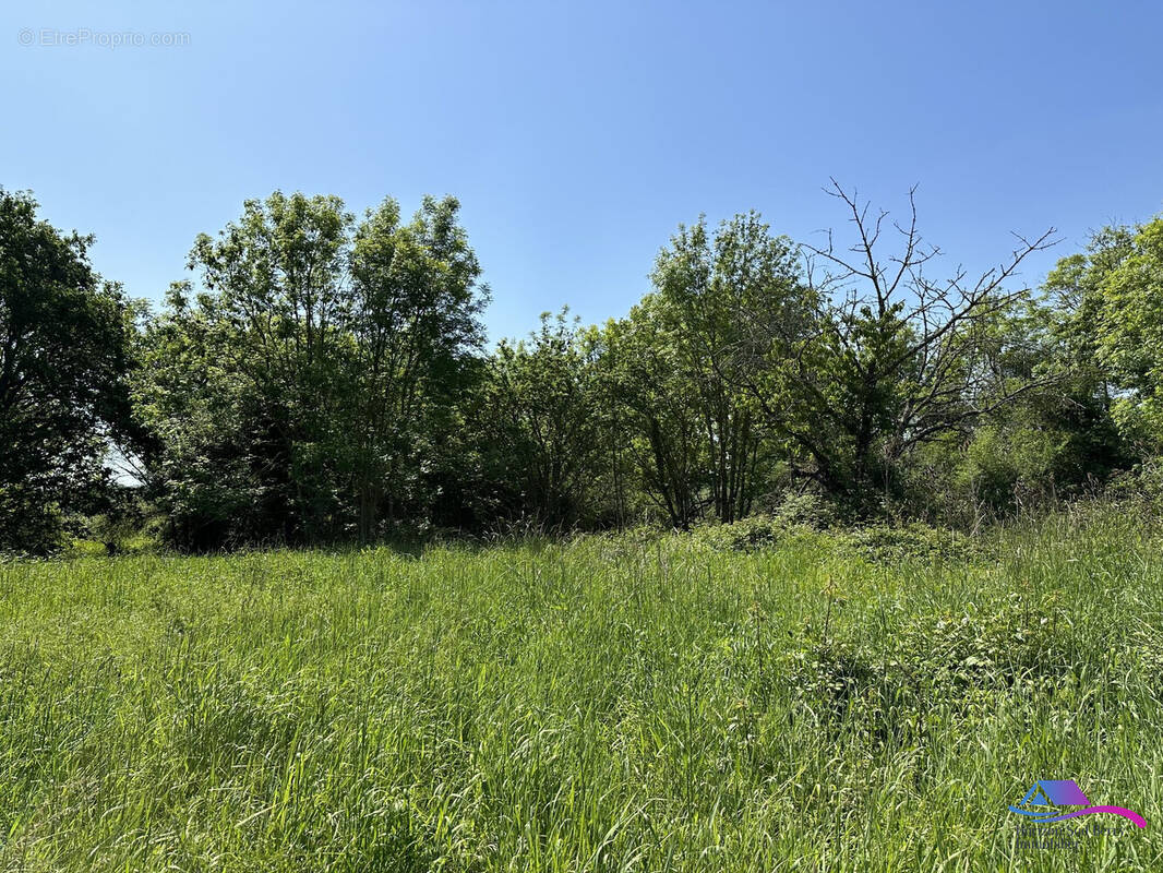 Terrain - Maison à TOUCHAY