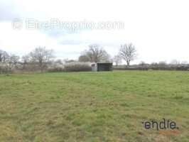 Terrain à MORNAY-SUR-ALLIER