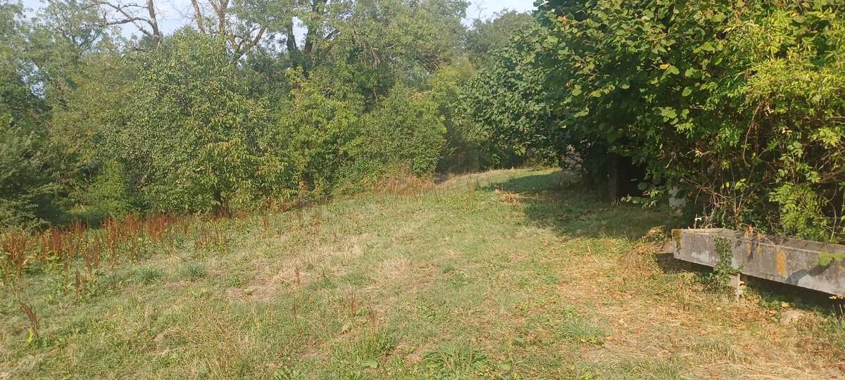 Maison à SAINT-ANTONIN-NOBLE-VAL