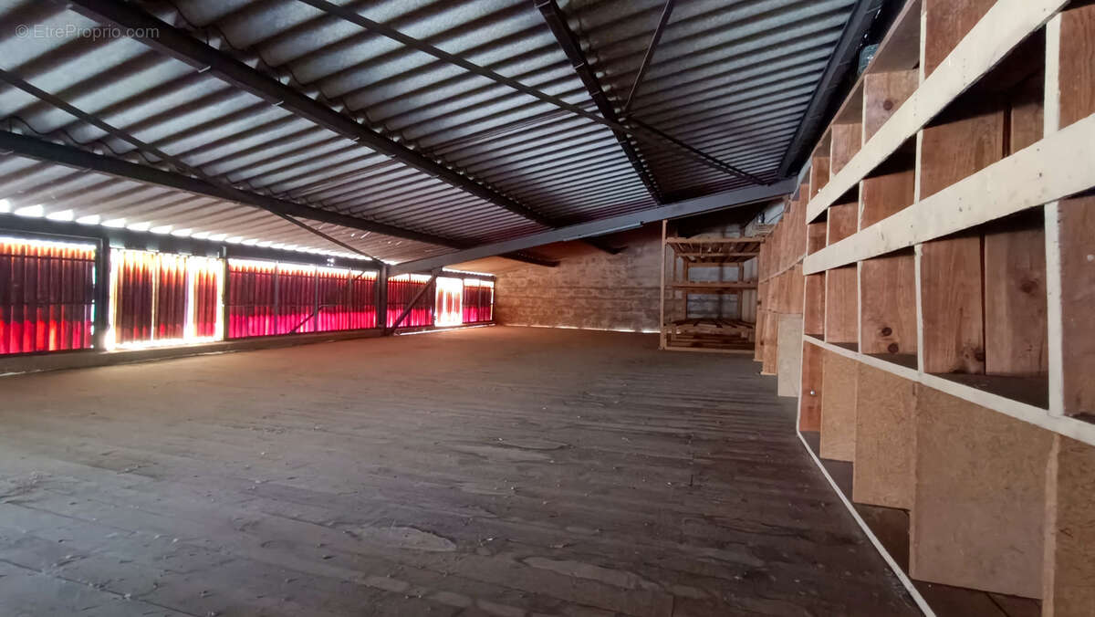 Maison à MORTAGNE-SUR-GIRONDE