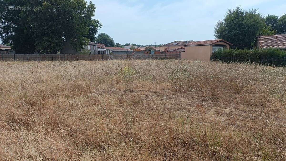 Terrain à FONSORBES