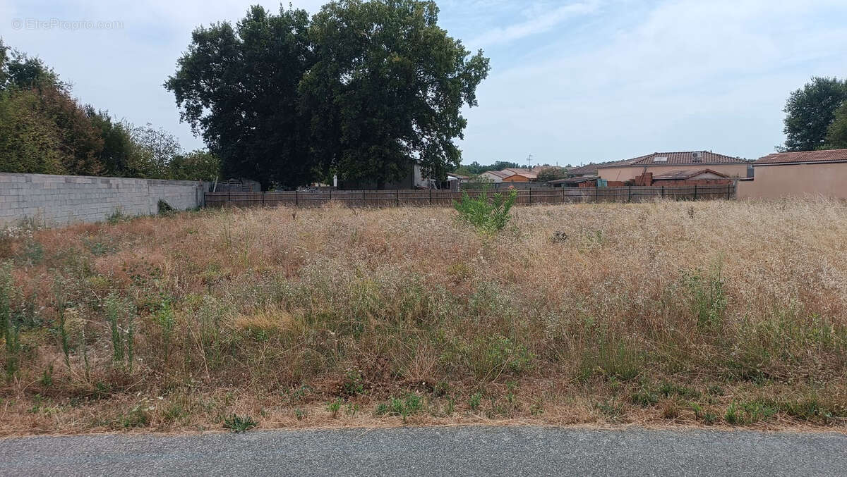 Terrain à FONSORBES