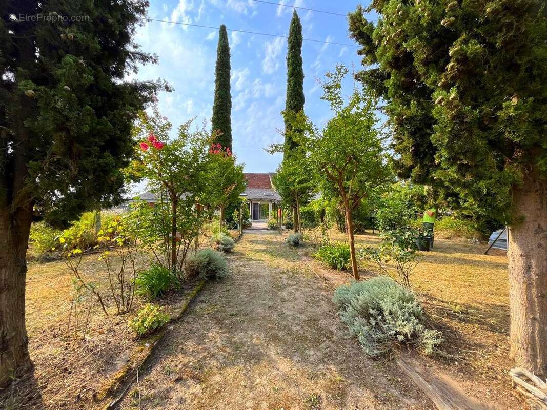 Jardin - Maison à NOUATRE