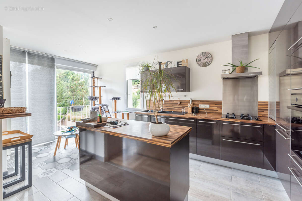 Maison à ESPALY-SAINT-MARCEL