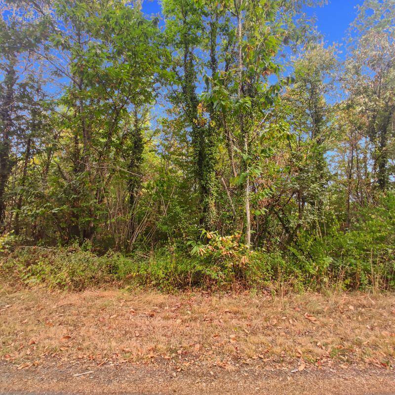 Terrain à SAINT-GERMAIN-DU-SALEMBRE