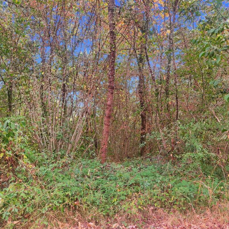 Terrain à SAINT-GERMAIN-DU-SALEMBRE