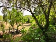 Terrain à SAINT-GERMAIN-DU-SALEMBRE