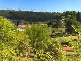 Terrain à SAINT-GERMAIN-DU-SALEMBRE