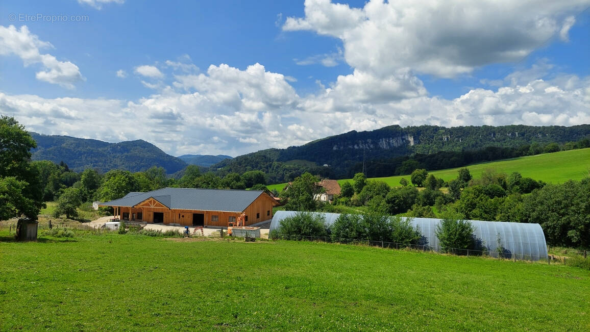 Maison à MONTBELIARD