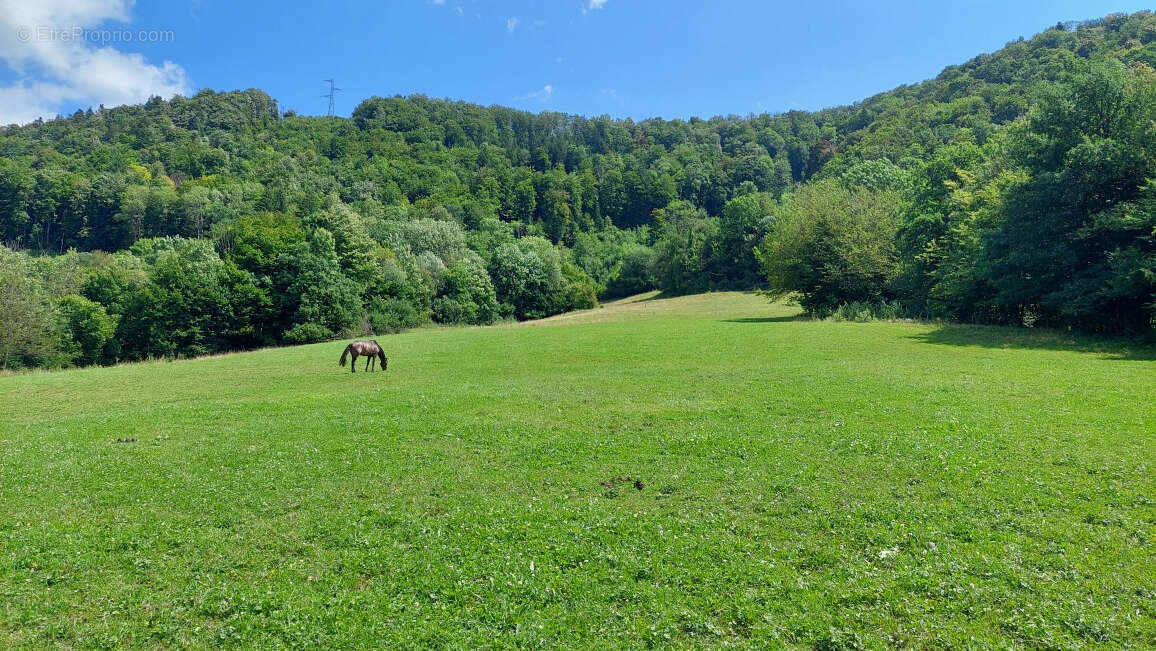 Maison à MONTBELIARD