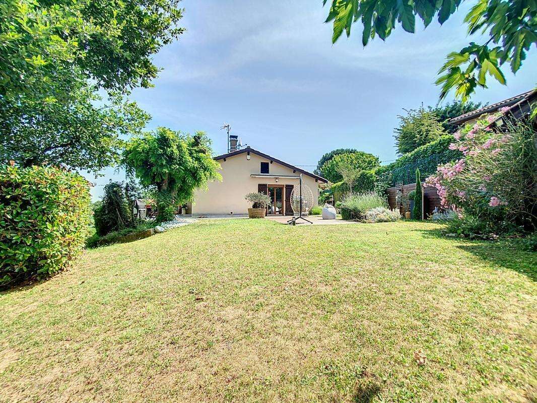 Maison à SEREZIN-DU-RHONE