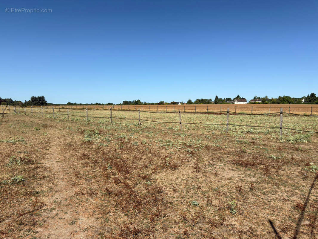 Maison à TOUR-EN-SOLOGNE