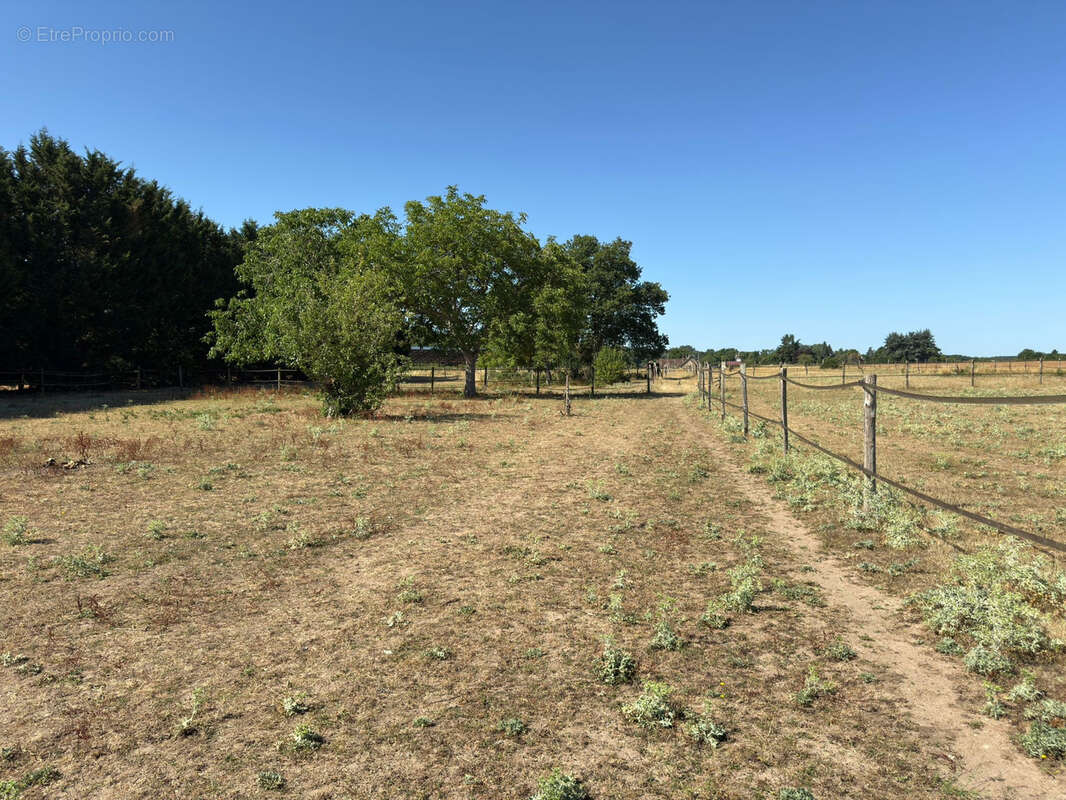 Maison à TOUR-EN-SOLOGNE